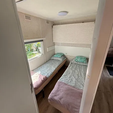 Holenderski Lilla * Łeba