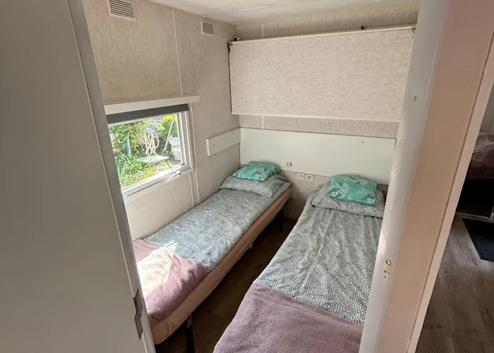 Holenderski Lilla * Łeba